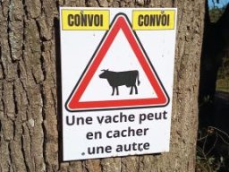 2026-09-13 saint-aignan-de-grandlieu (03)